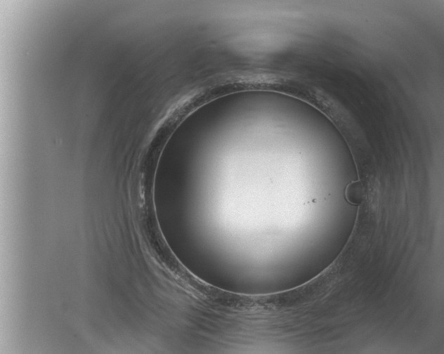 X0000080130731200612221856