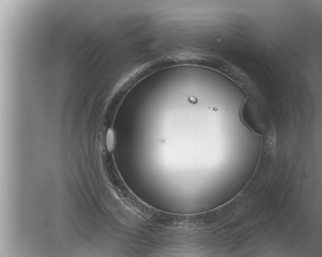 X0000080130732200612221856