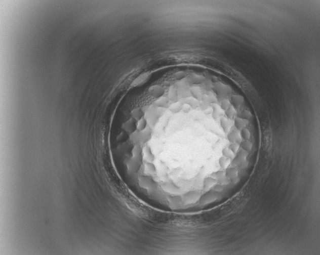 X0000080130733200612221856