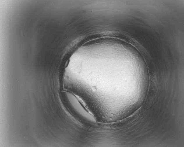 X0000080130734200612221856