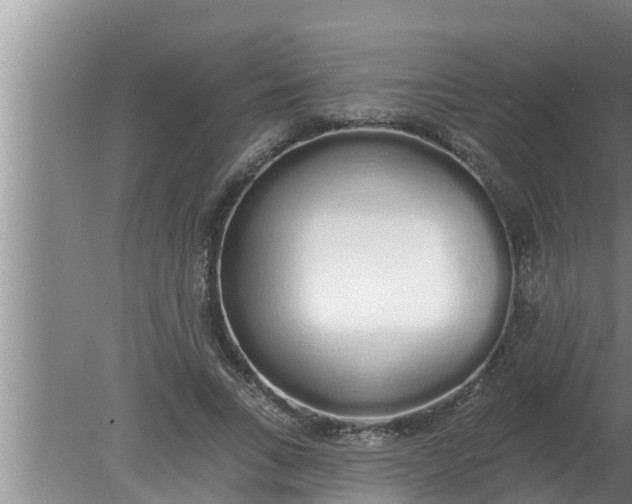 X0000080130735200612221856