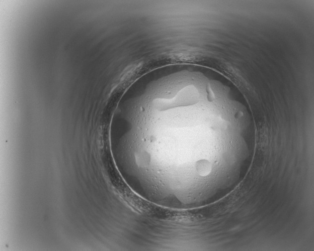 X0000080130738200612221856