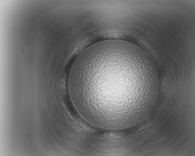 X0000080130739200612221856