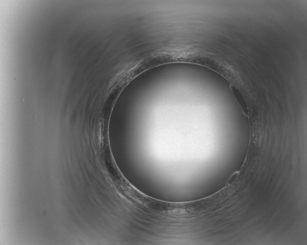 X0000080130740200612221856