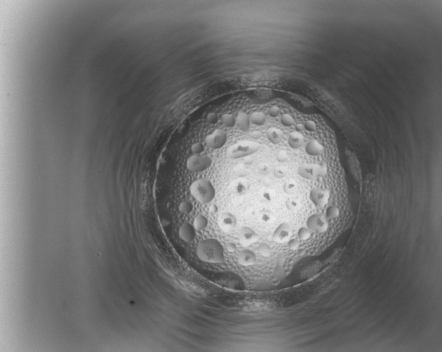 X0000080130741200612221857