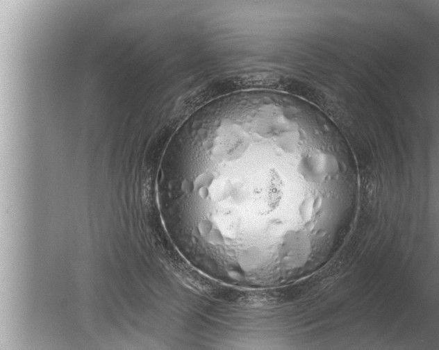 X0000080130745200612221857