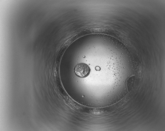 X0000080130746200612221857