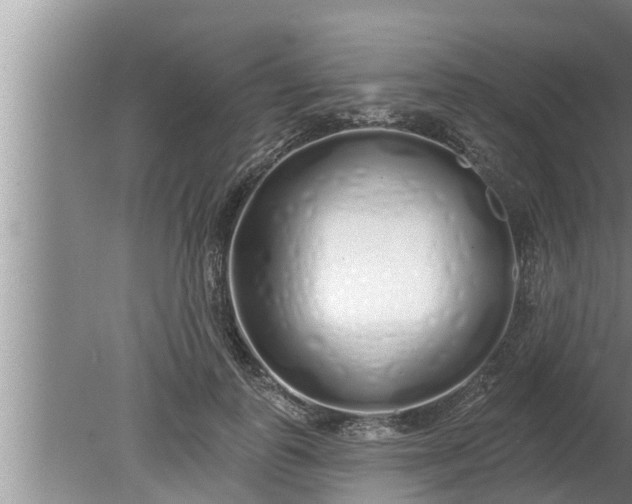 X0000080130747200612221857