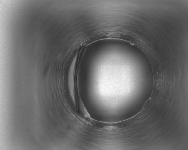 X0000080130748200612221857