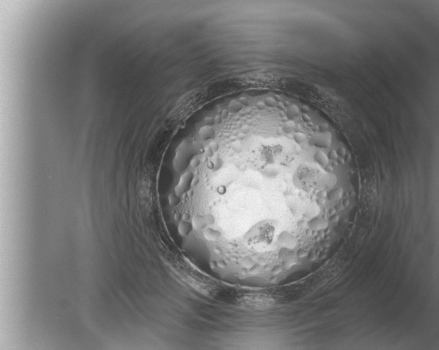 X0000080130749200612221857