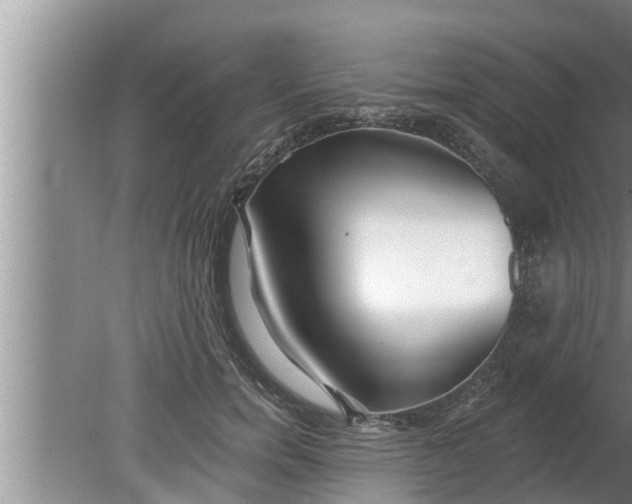 X0000080130750200612221857