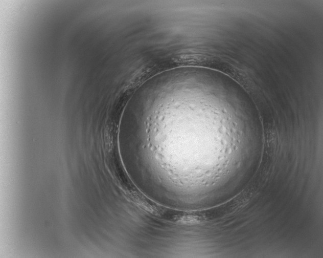 X0000080130751200612221857