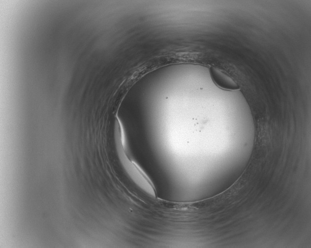 X0000080130752200612221857