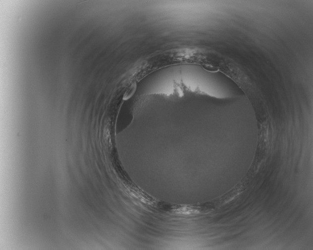 X0000080130754200612221857