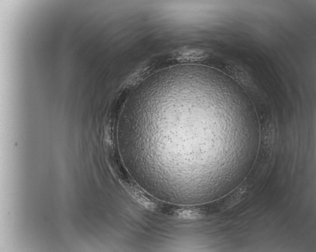 X0000080130755200612221857