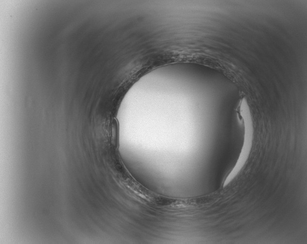 X0000080130756200612221857