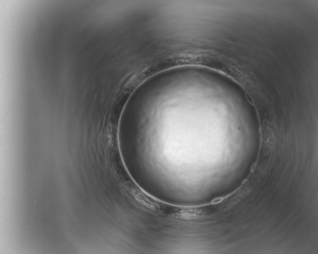 X0000080130758200612221857