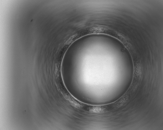 X0000080130759200612221857