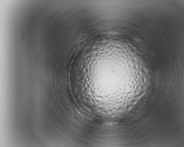 X0000080130760200612221857