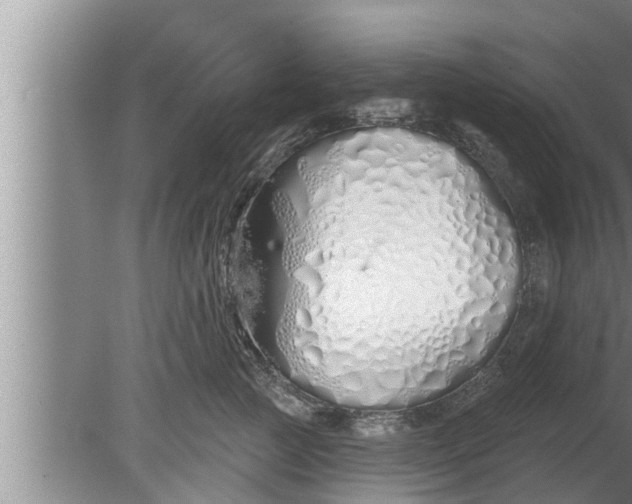 X0000080130761200612221857