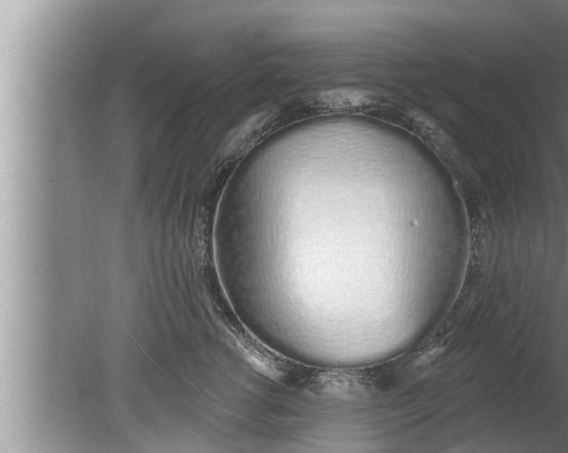 X0000080130762200612221857