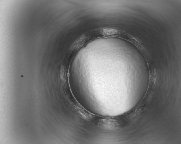 X0000080130763200612221857