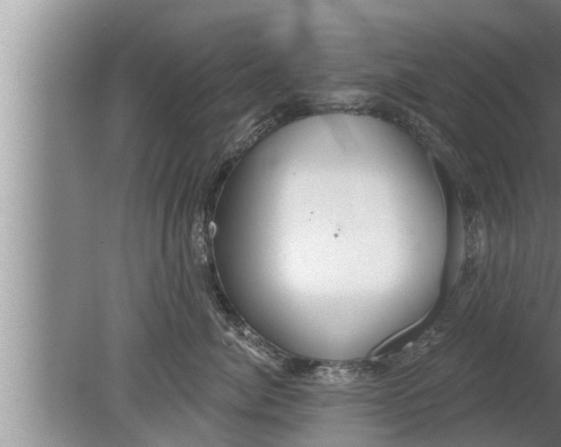 X0000080130764200612221857