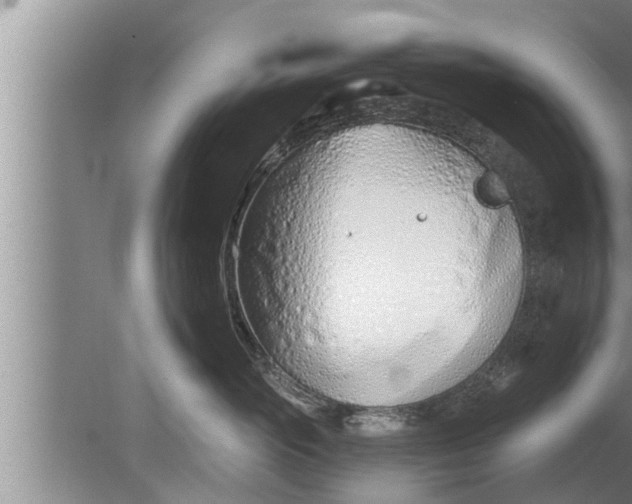 X0000080130765200612221857