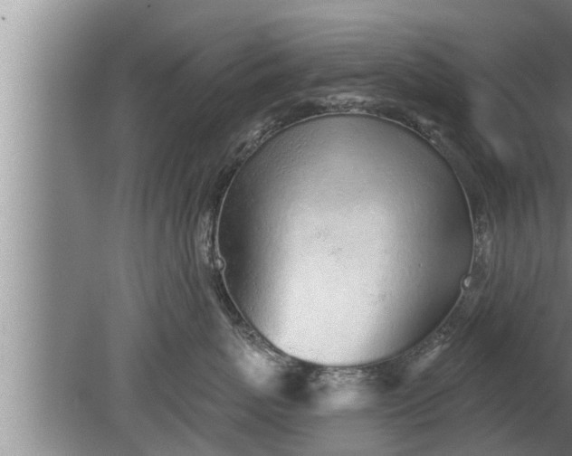 X0000080130767200612221857