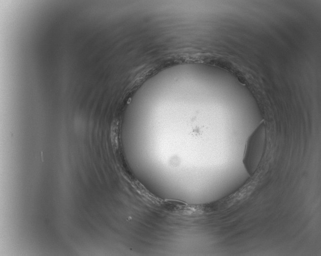 X0000080130768200612221857