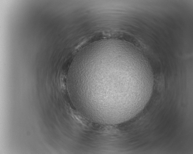 X0000080130770200612221856