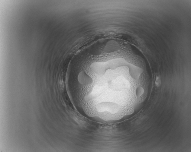 X0000080130771200612221856