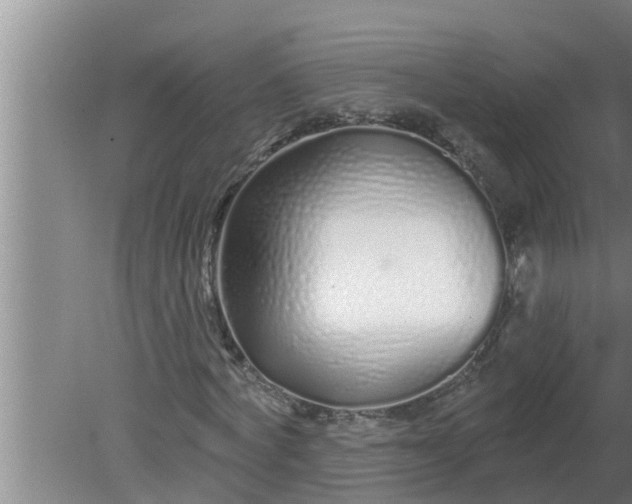 X0000080130772200612221856