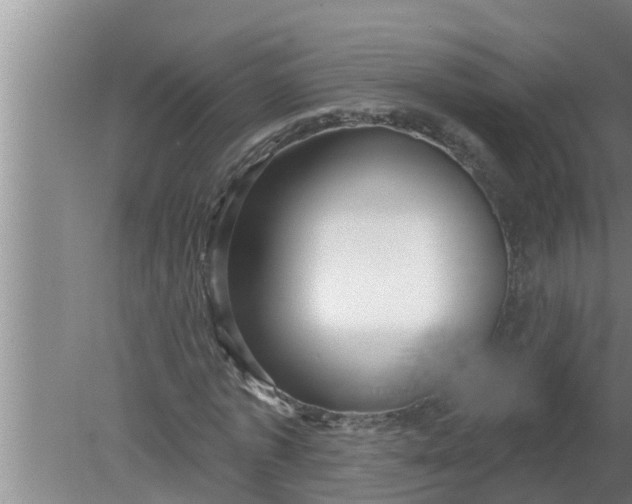 X0000080130773200612221856