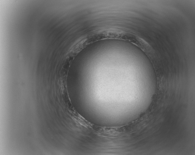 X0000080130774200612221856