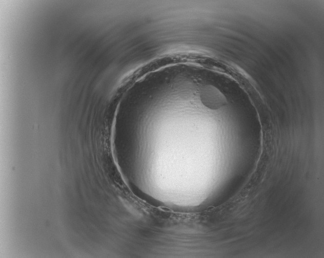 X0000080130775200612221856