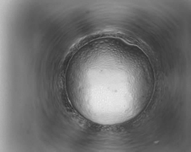 X0000080130776200612221856