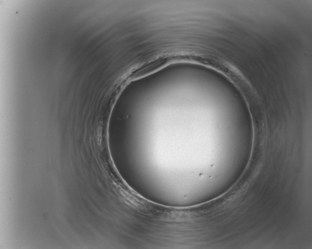 X0000080130777200612221856