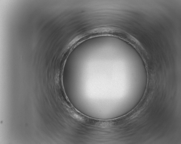 X0000080130778200612221856