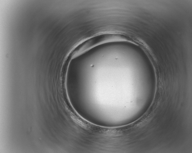 X0000080130779200612221856