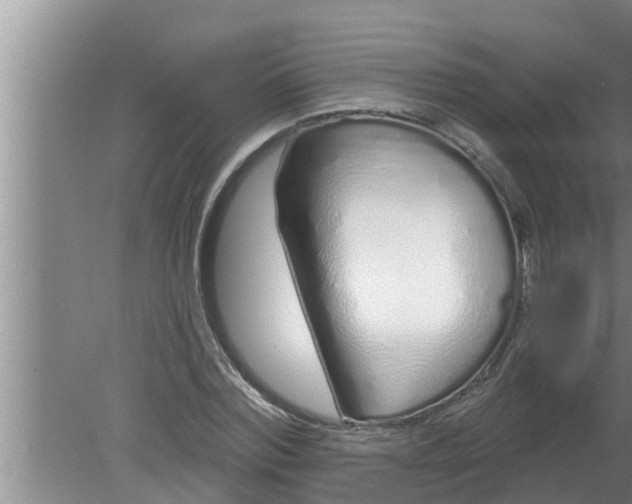 X0000080130780200612221856