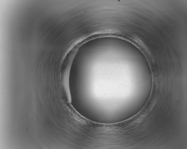 X0000080130781200612221856