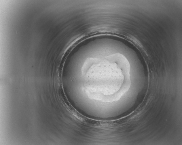 X0000080130782200612221856