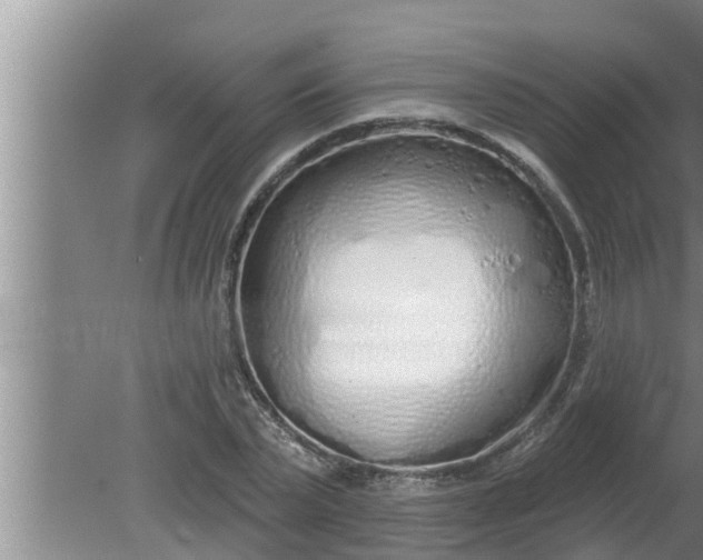 X0000080130783200612221856