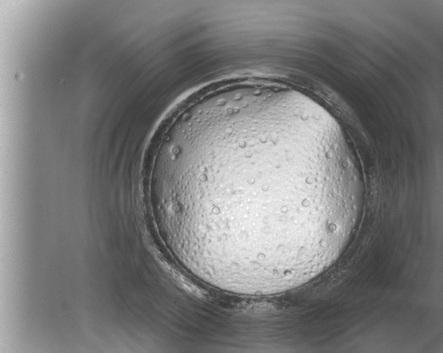 X0000080130784200612221856