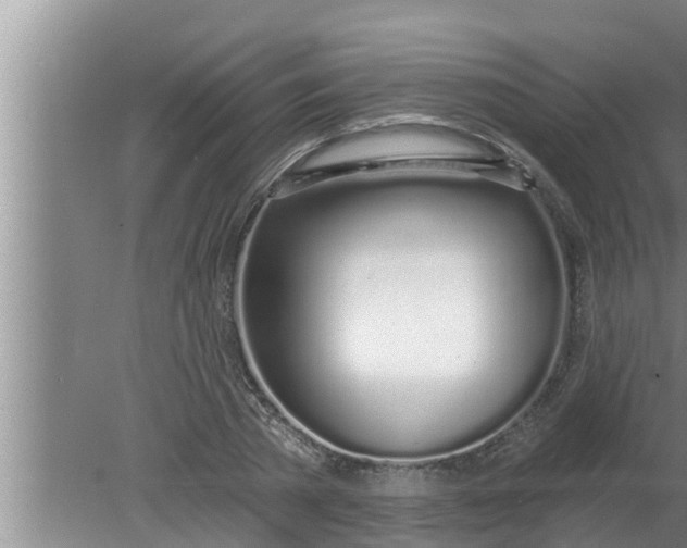 X0000080130785200612221856