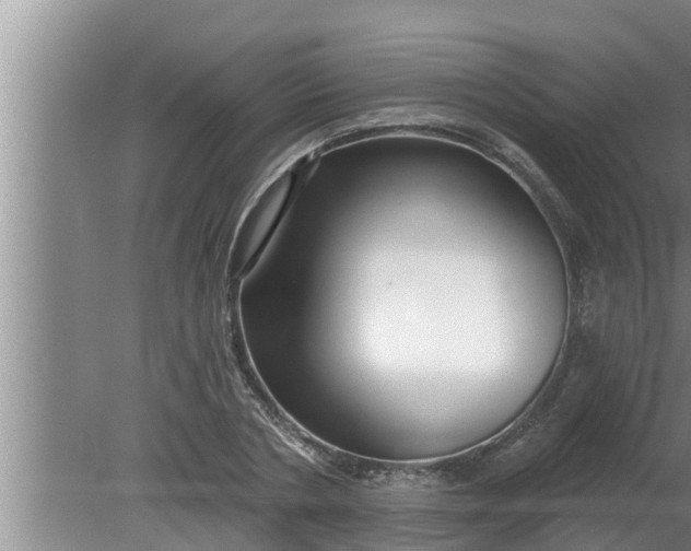 X0000080130786200612221856