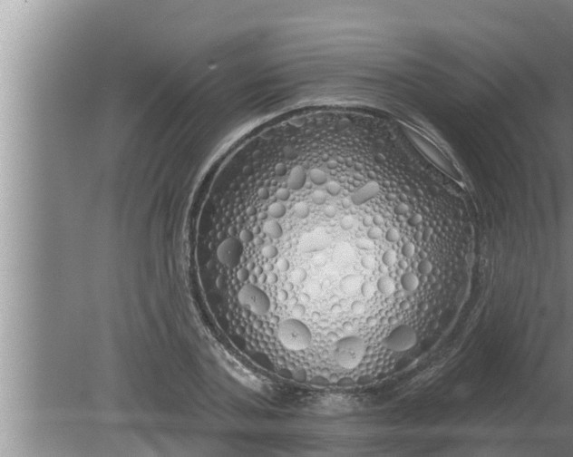 X0000080130787200612221856