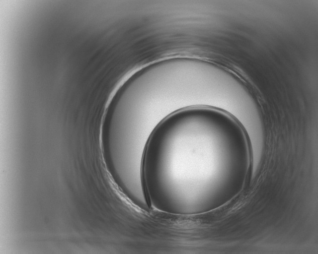 X0000080130788200612221856