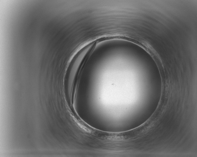 X0000080130789200612221856